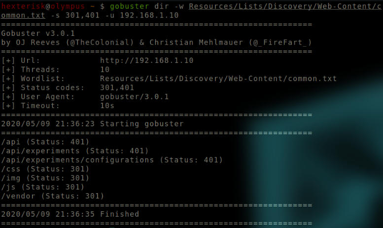 “gobuster_2”